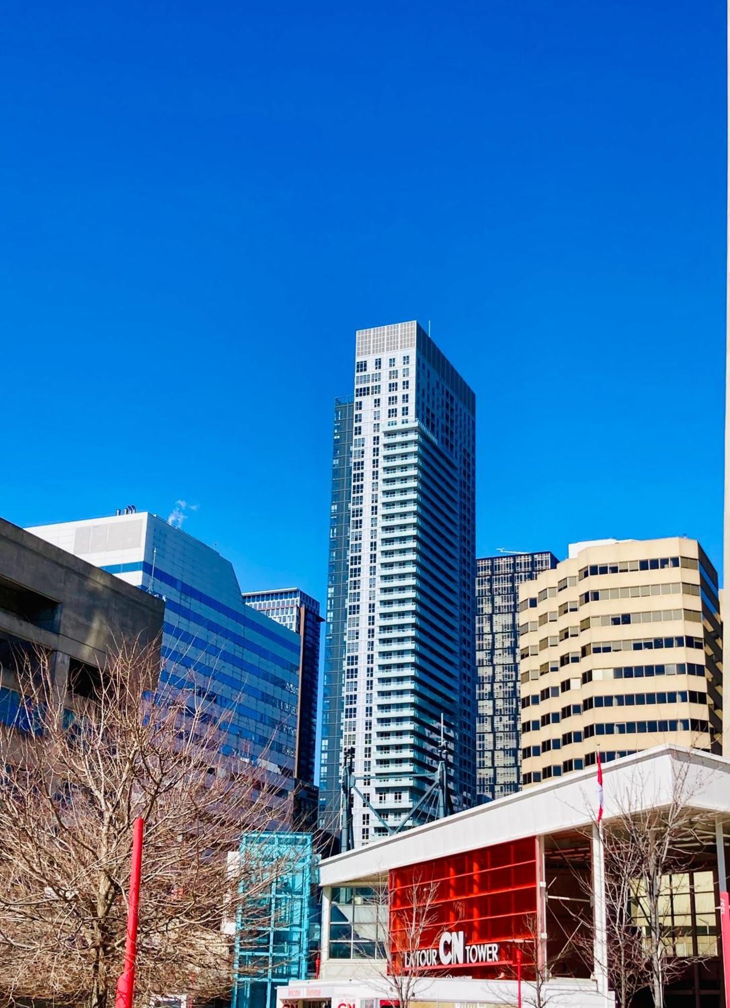 Central Toronto Suite - Free Parking, City Views, Near Cn Tower Buitenkant foto